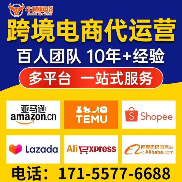 威海电商代运营
