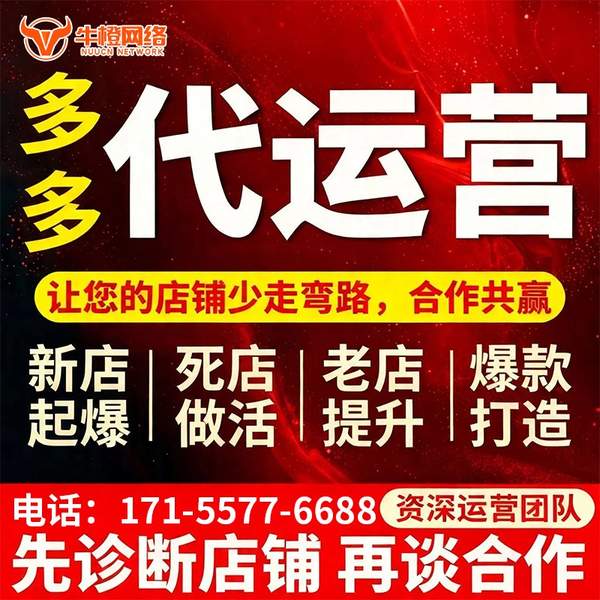 威海电商代运营