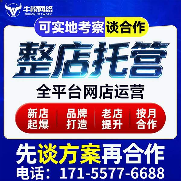 威海电商代运营