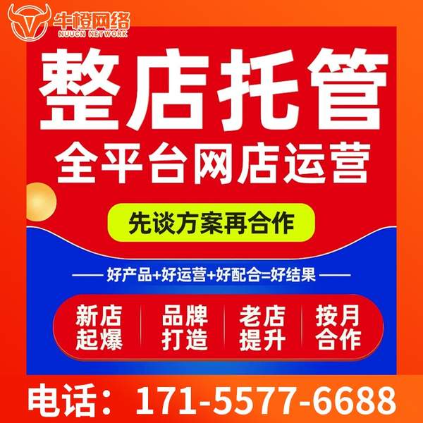 威海电商代运营