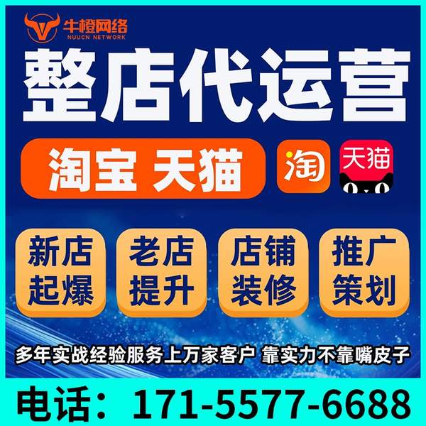 威海电商代运营