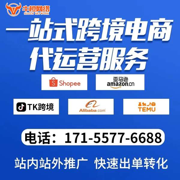 威海电商代运营