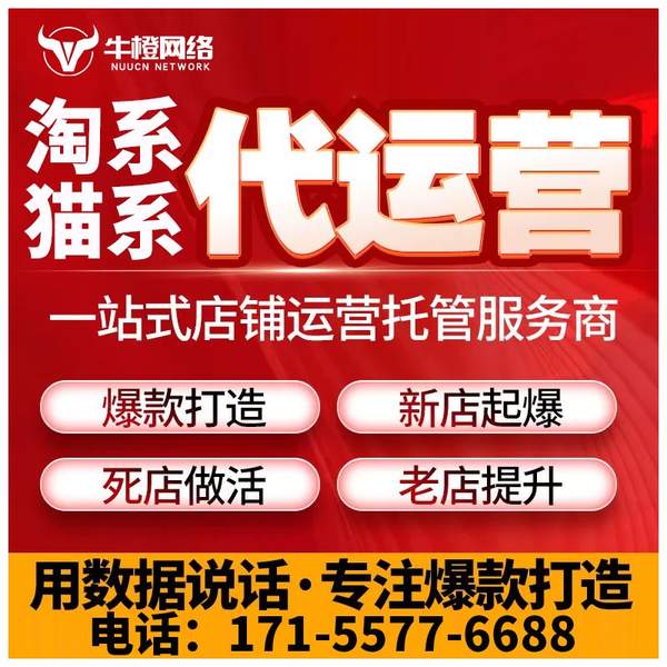 威海电商代运营